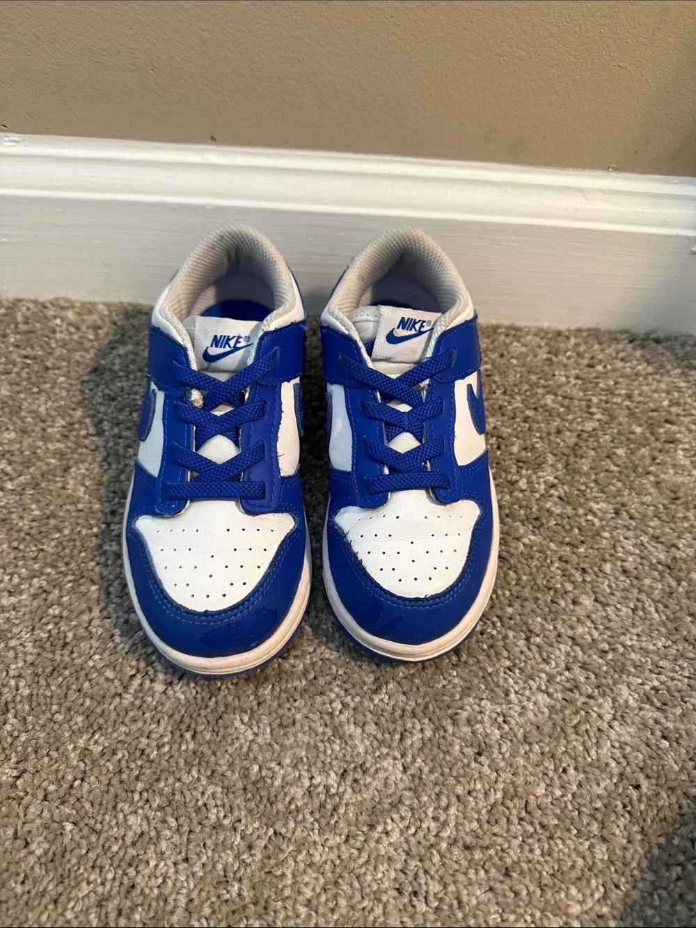 Toddler Nike Dunks